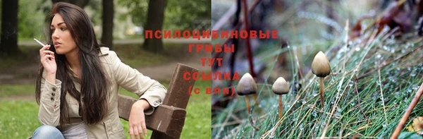 прущие крисы Михайлов