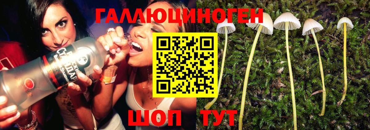 Галлюциногенные грибы Magic Shrooms  Псилоцибиновые грибы Psilocybe  Златоуст  Вход с VPN 